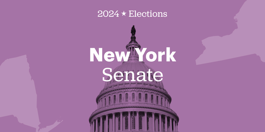 new york senate 538